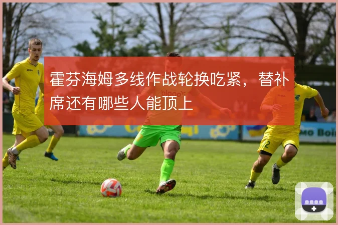 霍芬海姆多线作战轮换吃紧,替补席还有哪些人能顶上